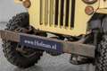 Oldtimer Willys CJ3 B M38A1 Amarillo - thumbnail 45