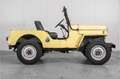Oldtimer Willys CJ3 B M38A1 Amarillo - thumbnail 19