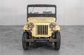 Oldtimer Willys CJ3 B M38A1 Amarillo - thumbnail 23