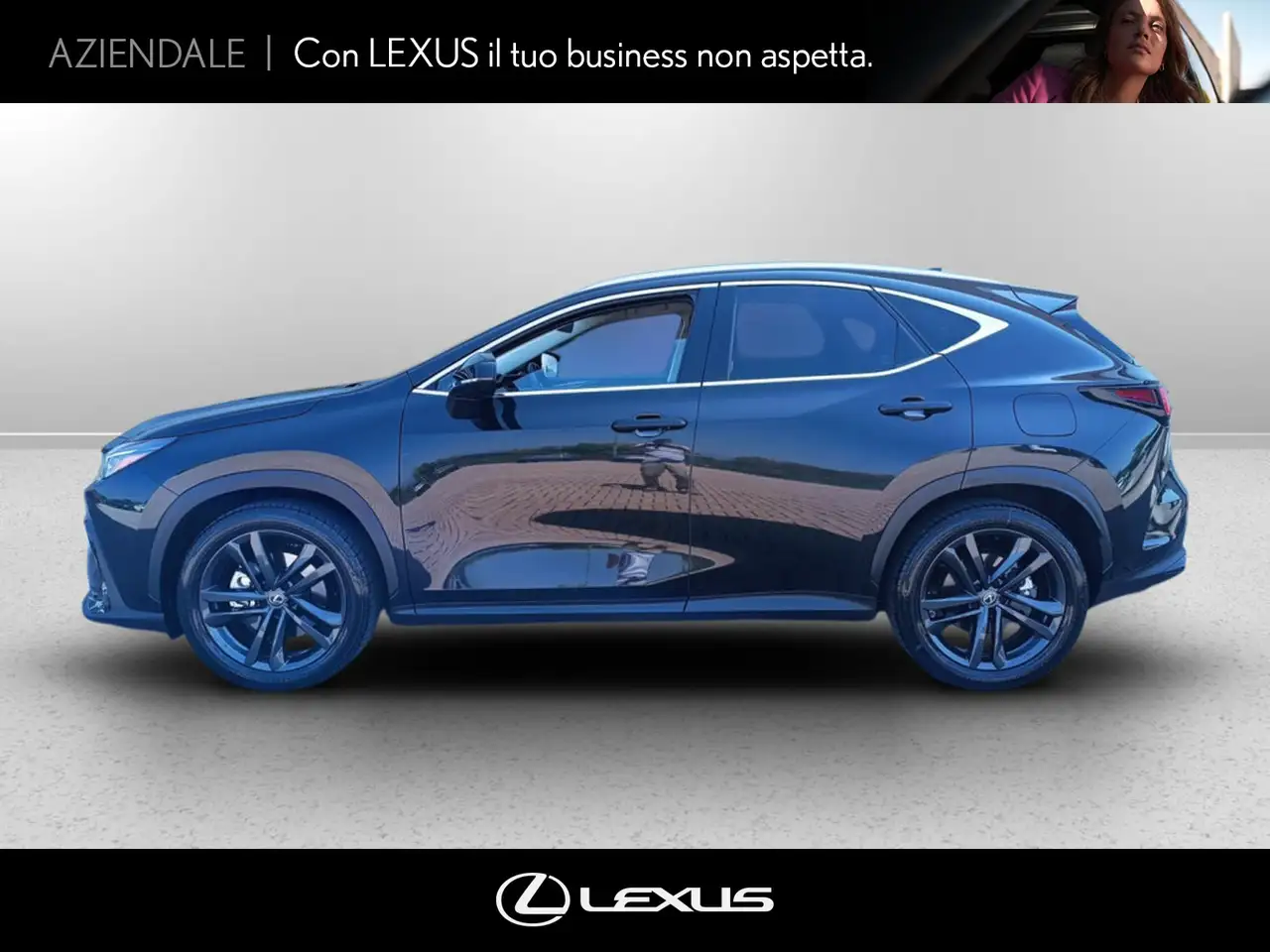 Other Model not specified 2025