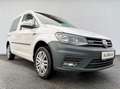 Volkswagen Caddy Kombi Trendline 2,0 TDI 4MOTION "AHV" Weiß - thumbnail 4