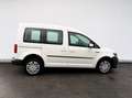 Volkswagen Caddy Kombi Trendline 2,0 TDI 4MOTION "AHV" Weiß - thumbnail 8