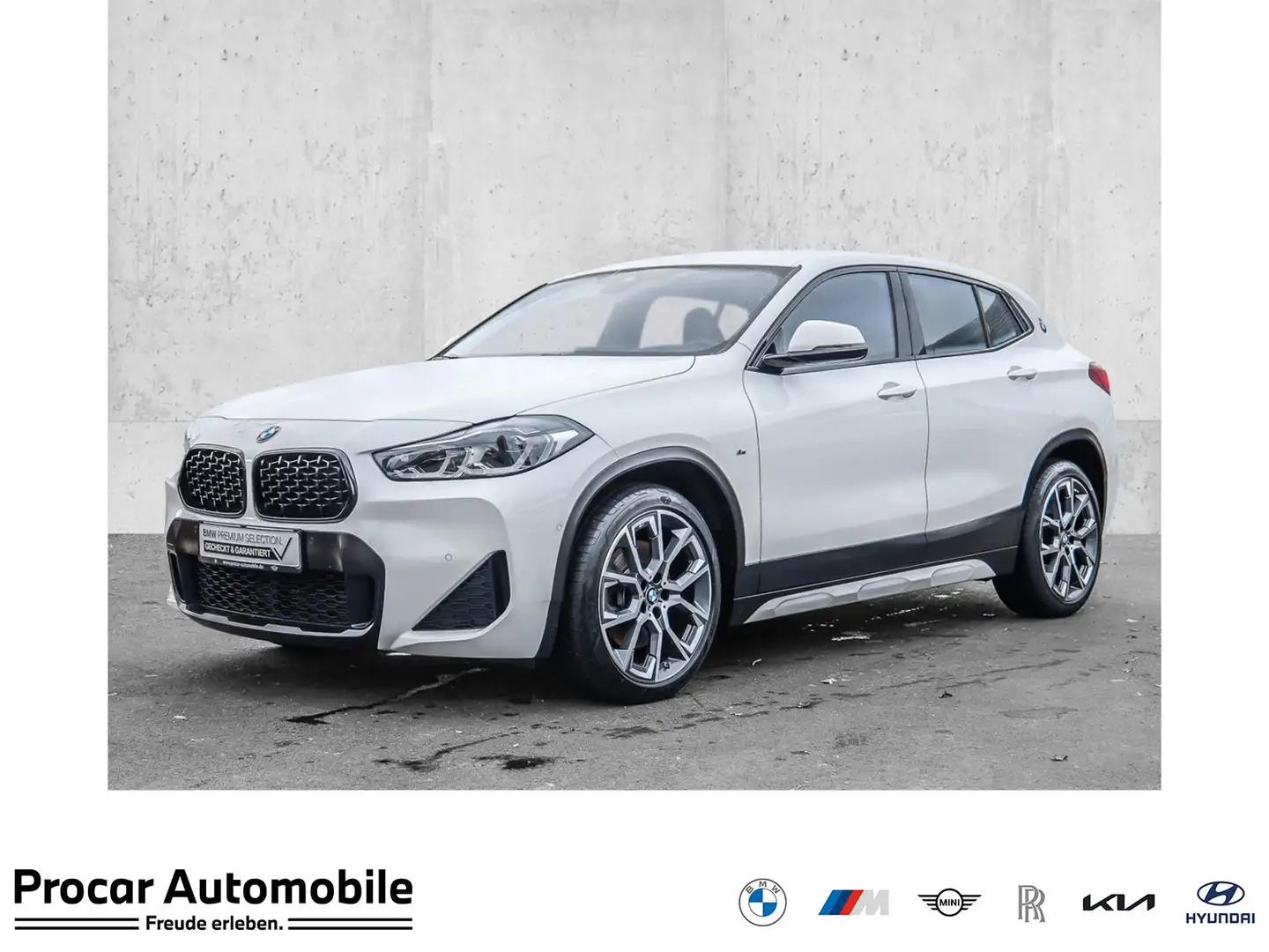 BMW X2 sDrive20d Edition M Mesh HUD RFK NAVI LED LM Weiß - 1