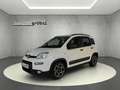 Fiat Panda City Life Hybrid 1.0 Klimaanl. Parksens. Weiß - thumbnail 1