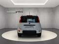 Fiat Panda City Life Hybrid 1.0 Klimaanl. Parksens. Weiß - thumbnail 6