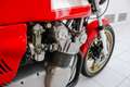MV Agusta 750 S America * Restored * Perfect * Magni * Rouge - thumbnail 11