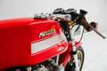 MV Agusta 750 S America * Restored * Perfect * Magni * Rouge - thumbnail 12
