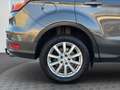 Ford Kuga Titanium / NAVI / KAMERA / PDC / LED / AHK Gris - thumbnail 8