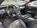 Ford Mustang GT MagneRide DE 5 Jahre Ford Garantie Vert - thumbnail 10