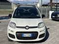 Fiat Panda Panda 0.9 t.air t. natural power Easy 80cv Bianco - thumbnail 7