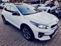 Kia XCeed Platinum Edition Plug-in Hybrid Weiß - thumbnail 9