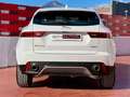Jaguar E-Pace 2.0D I4 Standard FWD 150 Blanco - thumbnail 4