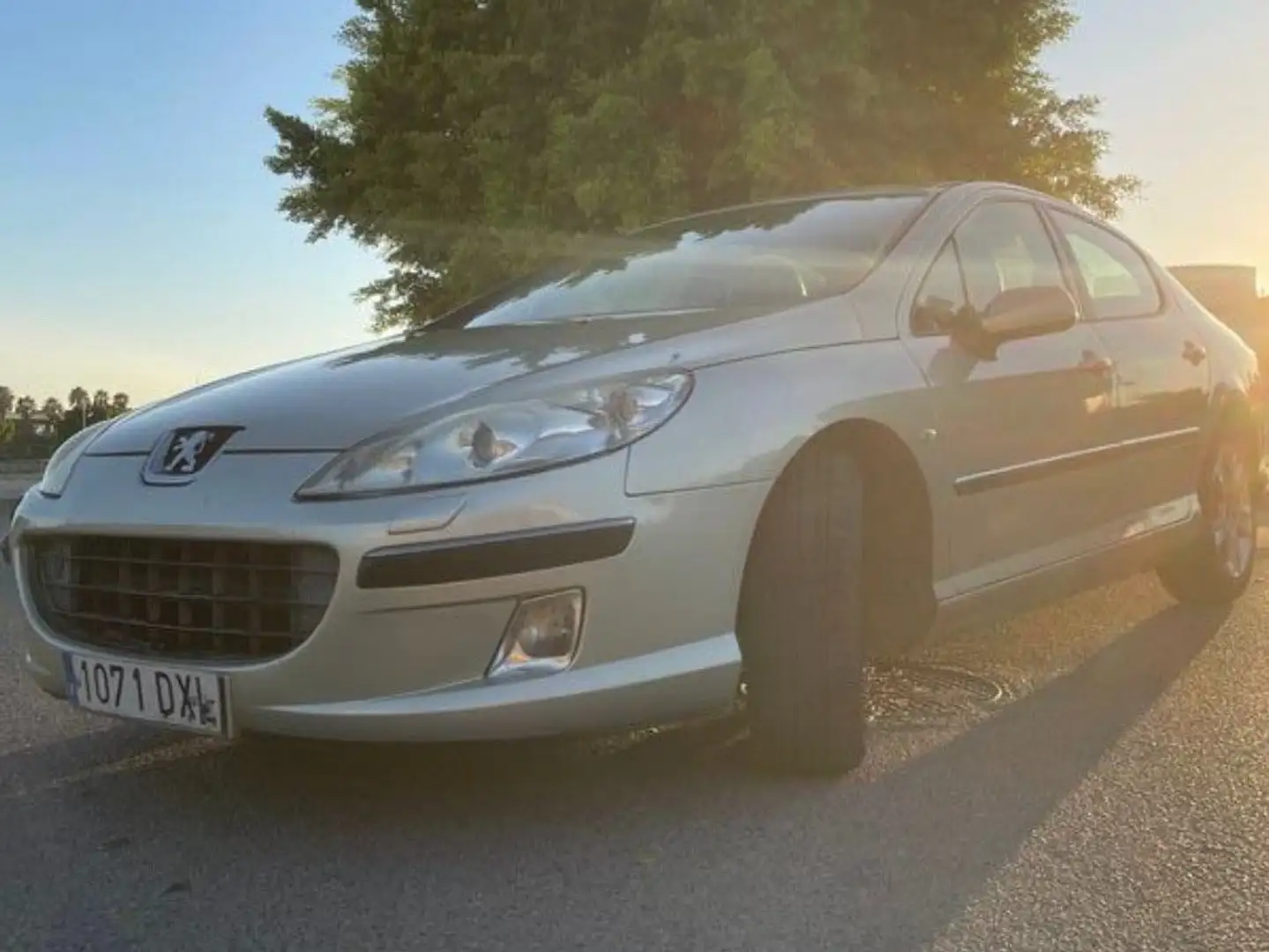 Peugeot 407 407 SW 2.0HDI ST Confort Confort Beige - 1