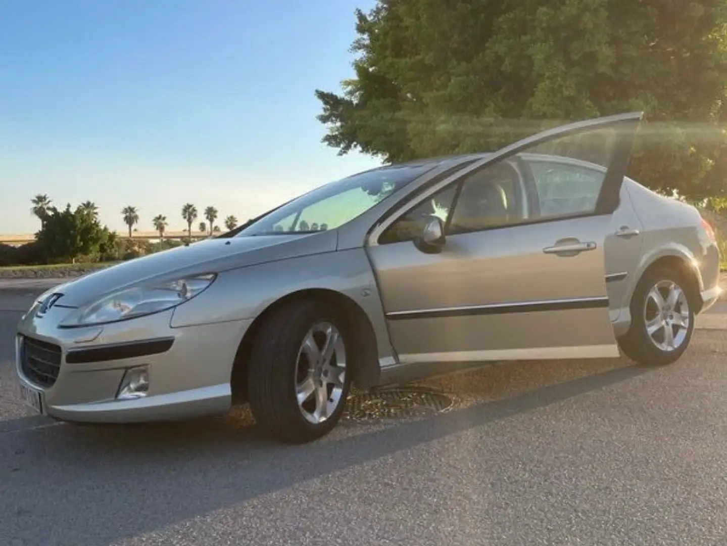 Peugeot 407 407 SW 2.0HDI ST Confort Confort Beige - 2