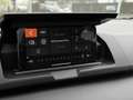 Dacia Sandero Stepway Adventure Edition TCe90 LED Dachbox Weiß - thumbnail 24