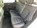MG EHS Luxury PHEV - Carplay - Cam - Tetto panoramico Blanc - thumbnail 32