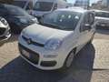 Fiat Panda 1.0 FireFly S&S Hybrid Eas 5 posti no obbligo fina Blanc - thumbnail 1