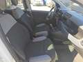 Fiat Panda 1.0 FireFly S&S Hybrid Eas 5 posti no obbligo fina Blanc - thumbnail 6