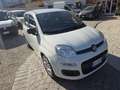 Fiat Panda 1.0 FireFly S&S Hybrid Eas 5 posti no obbligo fina Blanc - thumbnail 2