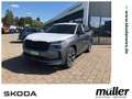 Skoda Kodiaq Sportline TDI 4X4 Matrix Nav Standh. Grau - thumbnail 1