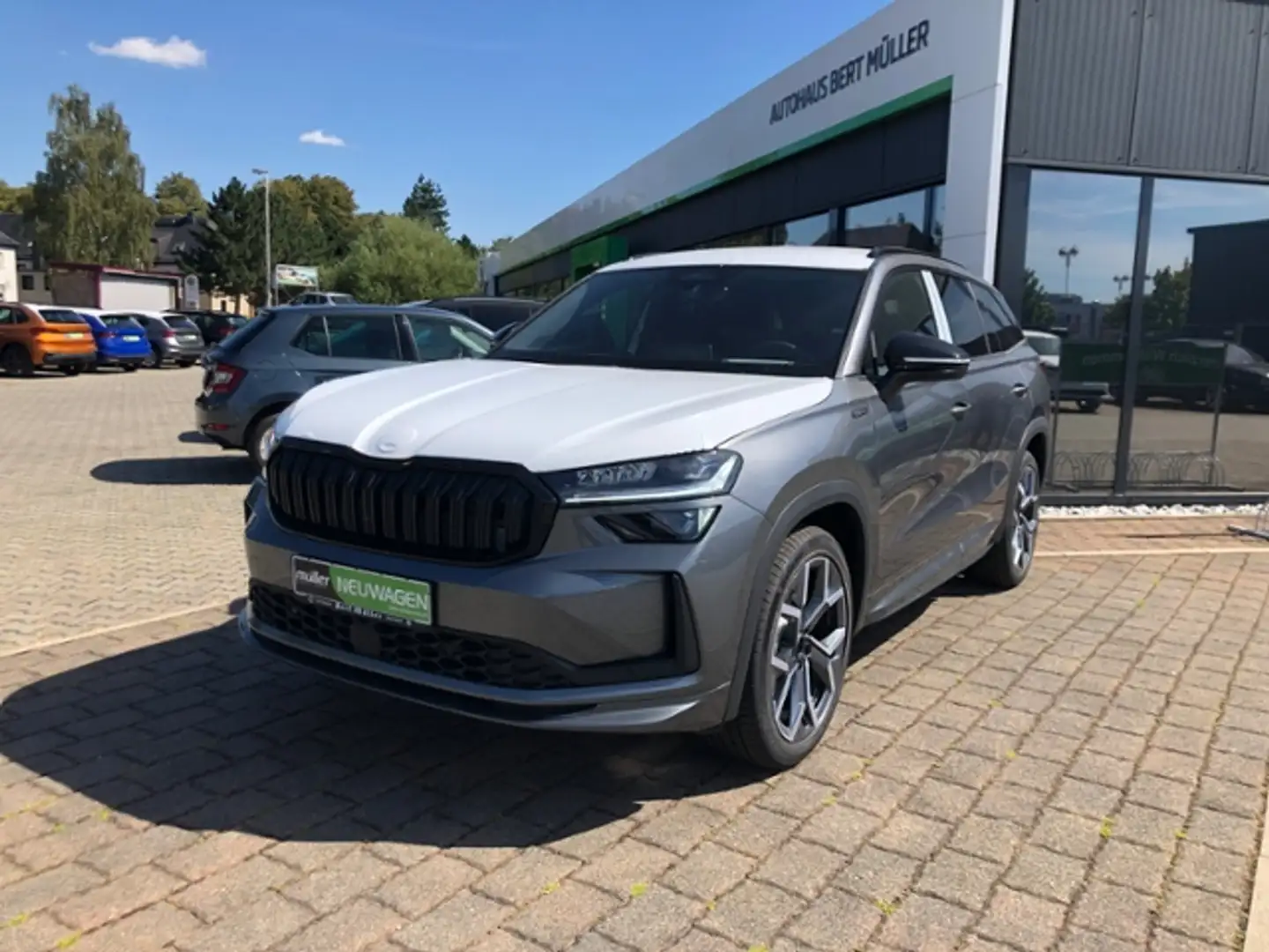Skoda Kodiaq Sportline TDI 4X4 Matrix Nav Standh. Grau - 2