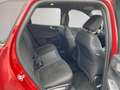 Ford Kuga 2.5 Duratec FHEV ST-Line X Facelift + 20 Zoll Alu Rouge - thumbnail 13