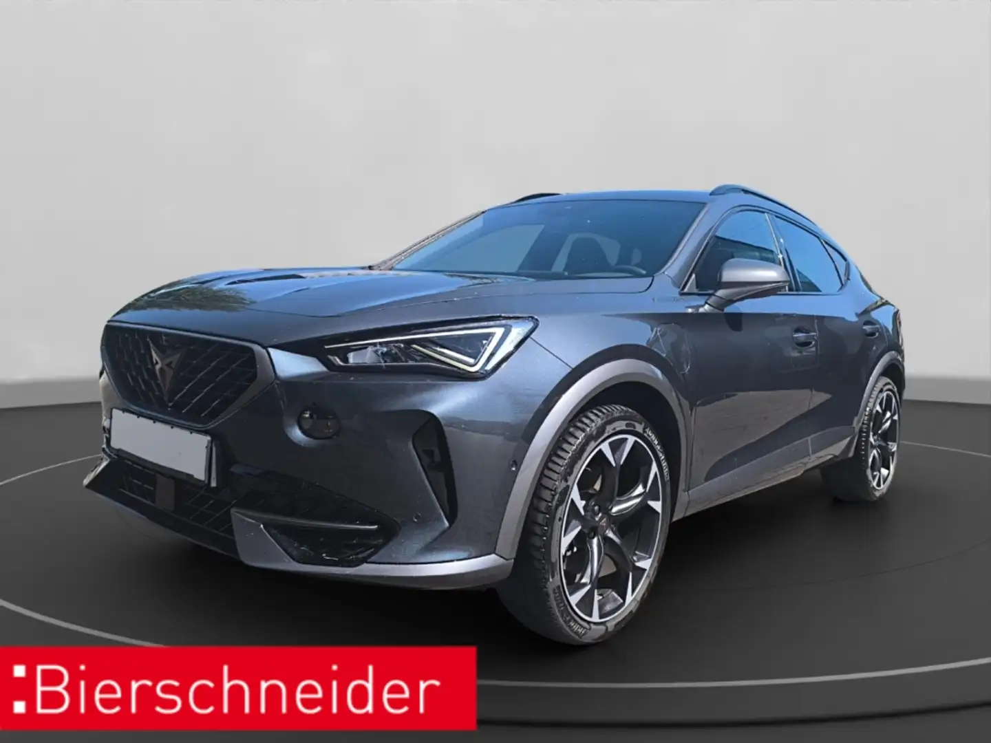 CUPRA Formentor 1.4 TSI e-Hybrid DSG NAVI KAMERA DCC Grau - 1