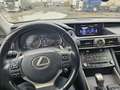 Lexus IS 300 IS III 2017 300h 2.5 Executive cvt Grau - thumbnail 10