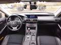 Lexus IS 300 IS III 2017 300h 2.5 Executive cvt Grigio - thumbnail 8