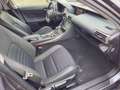 Lexus IS 300 IS III 2017 300h 2.5 Executive cvt Grigio - thumbnail 14