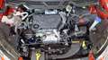 Ford EcoSport 1.5 Ecoblue 95 CV SeS UNICO PROPRIETARIO Rosso - thumbnail 14