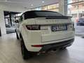 Land Rover Range Rover Evoque R.R. Evoque Cabrio  Cabrio td4 SE Dynamic Blanc - thumbnail 11