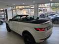 Land Rover Range Rover Evoque R.R. Evoque Cabrio  Cabrio td4 SE Dynamic Blanc - thumbnail 25