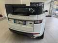 Land Rover Range Rover Evoque R.R. Evoque Cabrio  Cabrio td4 SE Dynamic Blanc - thumbnail 10