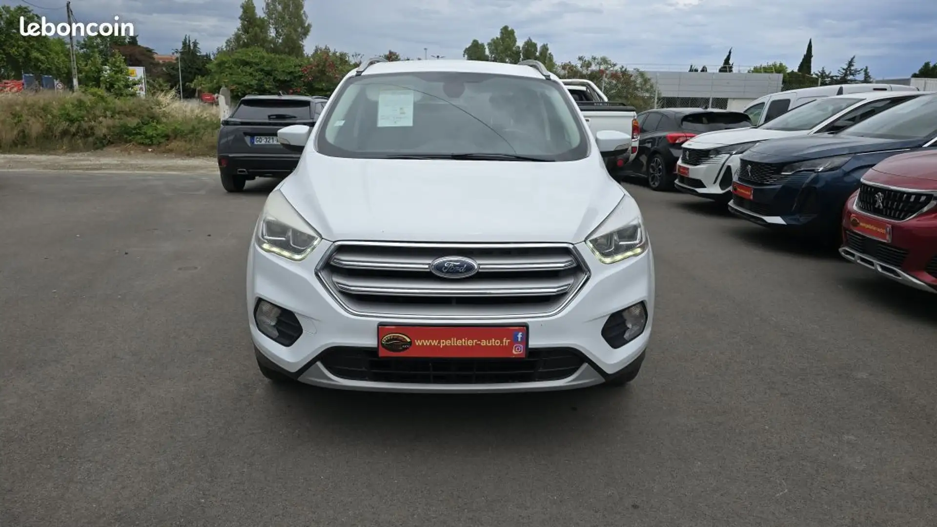 Ford Kuga 1.5 TDCi 120 SetS 4x2 Powershift Titanium Weiß - 2