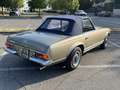 Mercedes-Benz SL 250 Pagoda 250 SL Gold - thumbnail 5