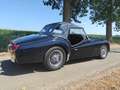 Triumph TR3 Cabriolet Blau - thumbnail 12