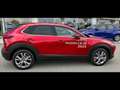 Mazda CX-30 2.5 m-hybrid exclusive line 2wd 140cv 6mt Rosso - thumbnail 14
