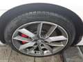 Skoda Octavia 2.0 TSI RS T-Leder Shz PDC Xenon BiXenon Weiß - thumbnail 10