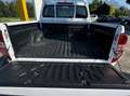 Renault Alaskan Alaskan DC 2.3 dci t Life 4wd s Bianco - thumbnail 4