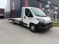 Citroen Jumper Jumper 35+ L4 BlueHDi 165 S&S Weiß - thumbnail 2