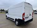 Peugeot Boxer Furgón 2.2 Diesel 3.0 L2H2 S 120 Blanco - thumbnail 9