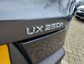 Lexus UX 250h LUXURY LINE Leder | Keyless | Stuurverwarming | Do Grijs - thumbnail 33