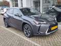Lexus UX 250h LUXURY LINE Leder | Keyless | Stuurverwarming | Do Grijs - thumbnail 7