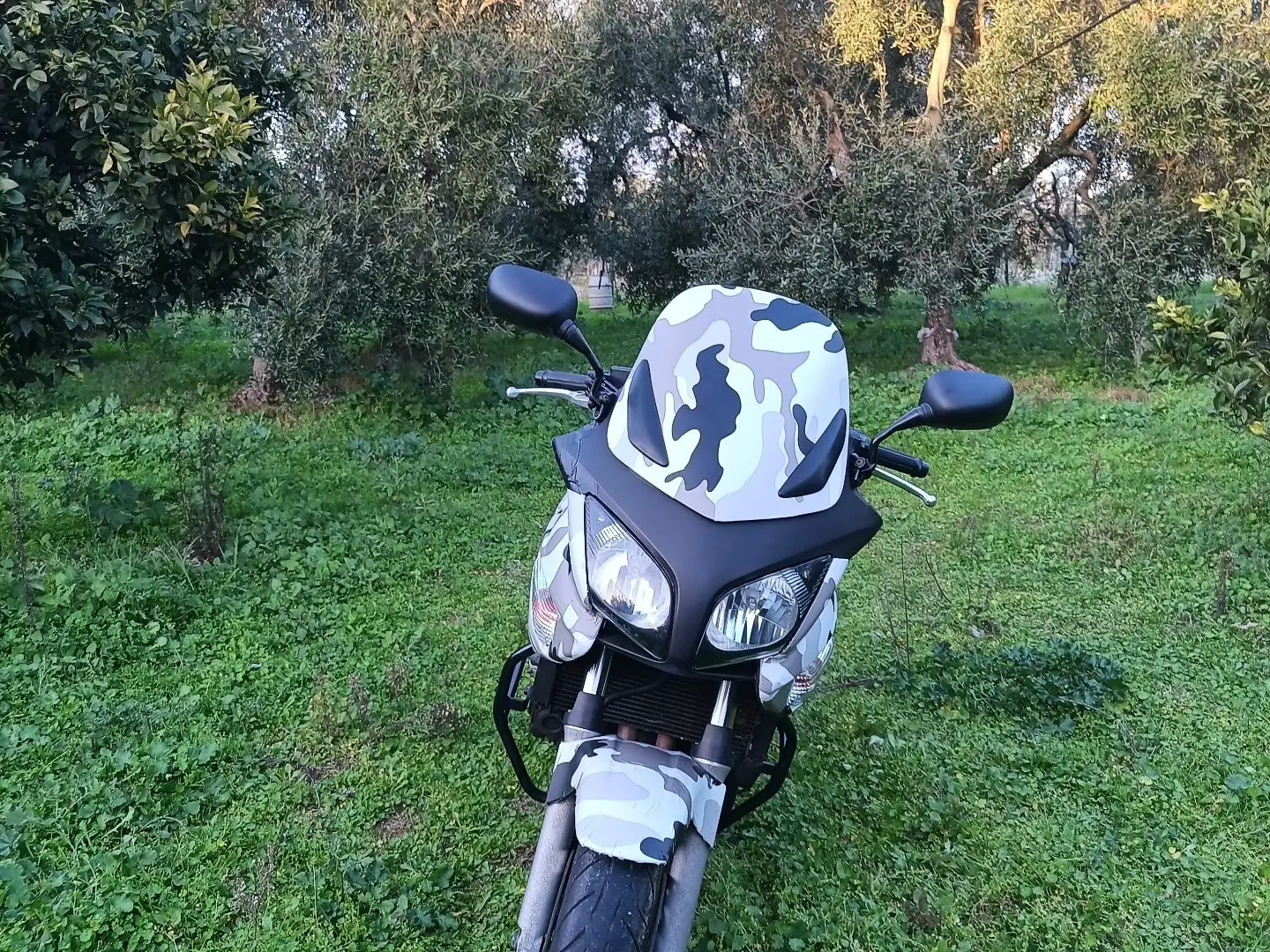 Honda CBF 600 s Albastru - 1