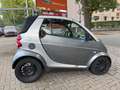 smart forTwo fortwo cabrio Basis Silber - thumbnail 11