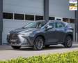 Lexus NX 350h Business Line I BTW I Adaptive Cruise Control I Tr Grijs - thumbnail 1