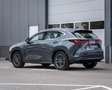 Lexus NX 350h Business Line I BTW I Adaptive Cruise Control I Tr Grijs - thumbnail 13