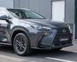 Lexus NX 350h Business Line I BTW I Adaptive Cruise Control I Tr Grijs - thumbnail 11