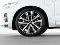 Volvo XC60 T8 Recharge AWD Plus Bright 21"+LUFTFAHRWER Weiß - thumbnail 17